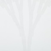 morepic-5
