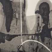morepic-5