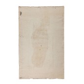 morepic-5