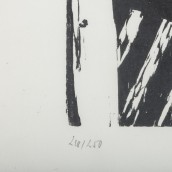 morepic-5