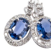 morepic-5