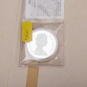 morepic-5