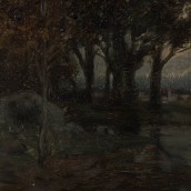 morepic-5