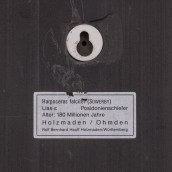 morepic-5