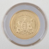 morepic-5