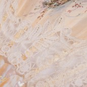 morepic-5