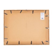 morepic-5