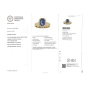 morepic-5