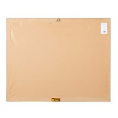 morepic-6