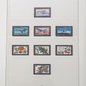 morepic-6
