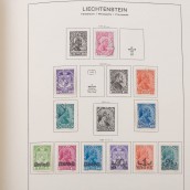 morepic-6