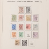 morepic-6