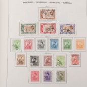 morepic-6