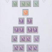 morepic-6