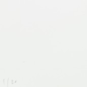 morepic-6