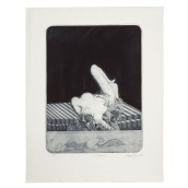 morepic-6