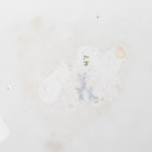 morepic-6