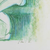 morepic-6