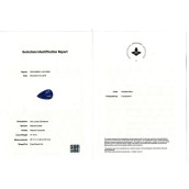 morepic-6