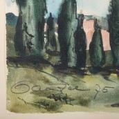 morepic-6