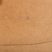 morepic-6