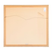 morepic-6