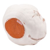 morepic-6