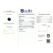 morepic-6