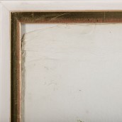 morepic-6