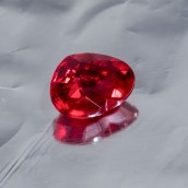 morepic-6