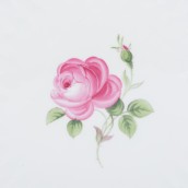 morepic-6