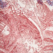 morepic-6