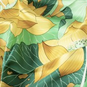 morepic-6