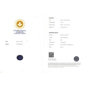 morepic-6