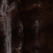 morepic-6