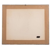morepic-6