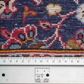 morepic-6