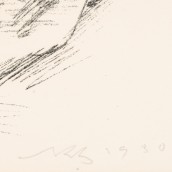 morepic-6