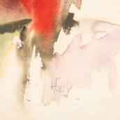 morepic-6