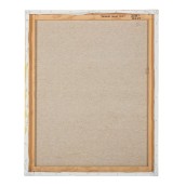 morepic-6