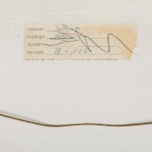 morepic-6
