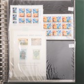 morepic-6