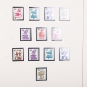 morepic-6