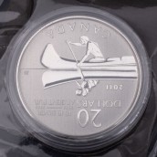 morepic-6