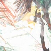 morepic-6