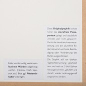 morepic-6