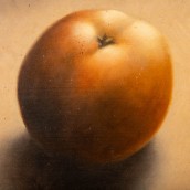 morepic-6