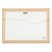 morepic-6