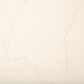 morepic-6