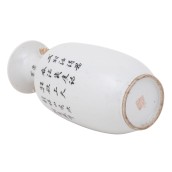 morepic-6